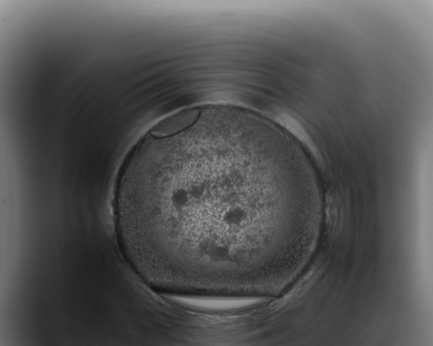 X0000088401068200705291424