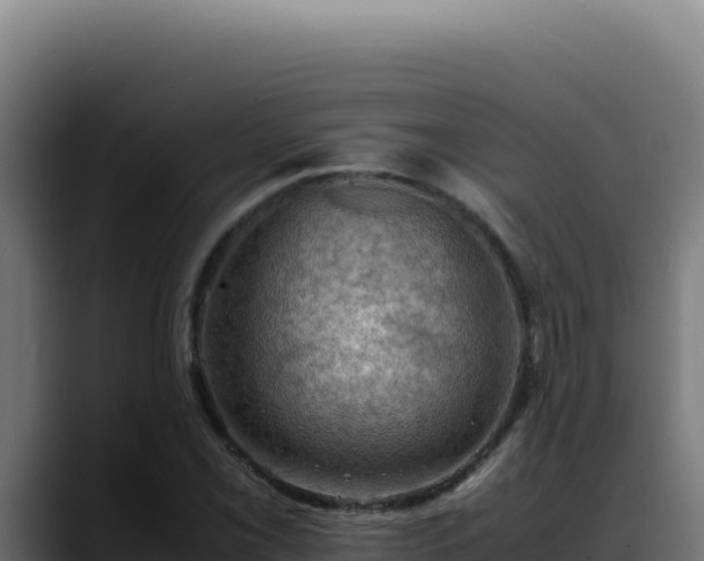 X0000088401069200705291424