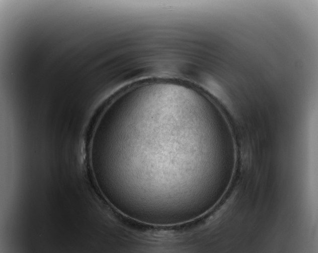 X0000088401070200705291424