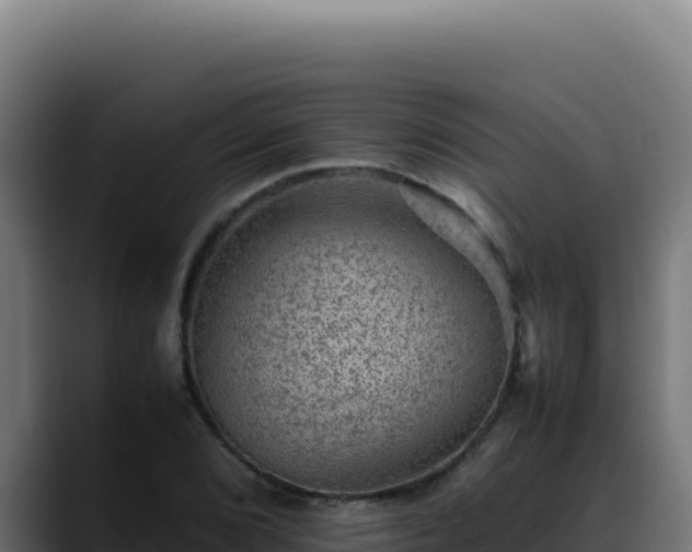 X0000088401072200705291424