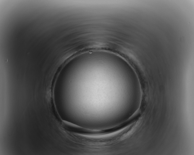 X0000088401073200705291424