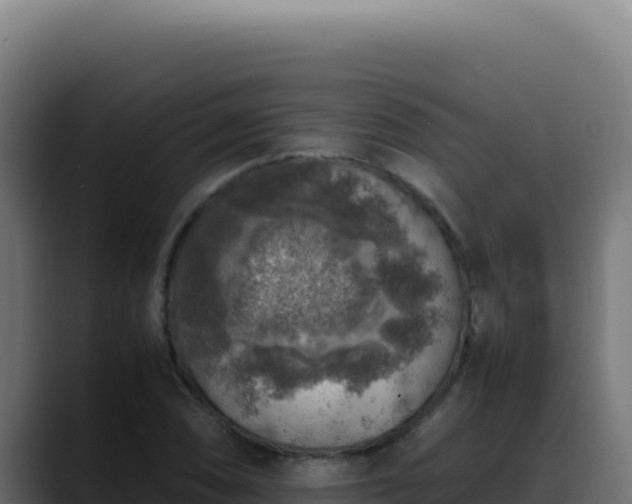 X0000088401074200705291424