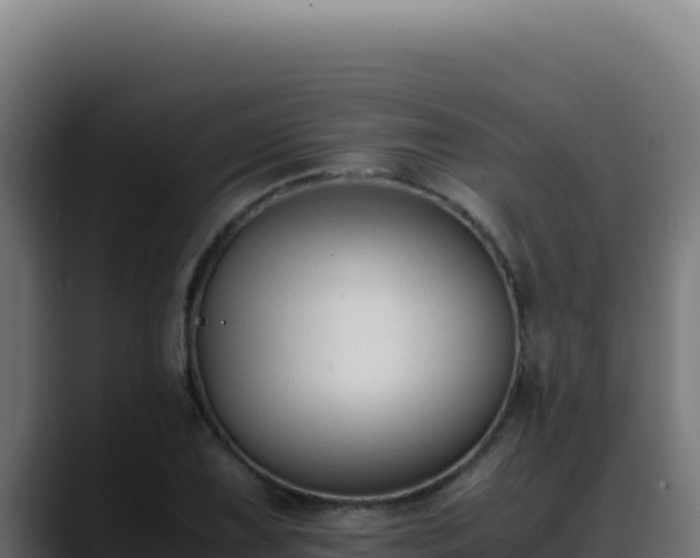 X0000088401075200705291424