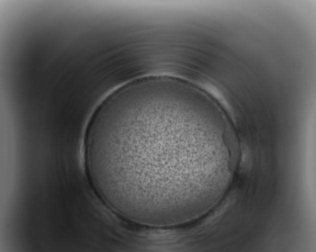 X0000088401076200705291424