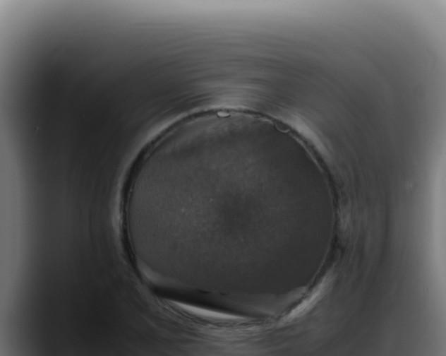 X0000088401077200705291424