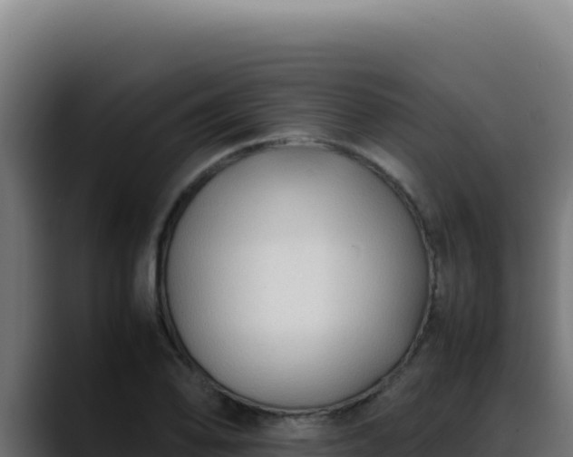 X0000088401078200705291424