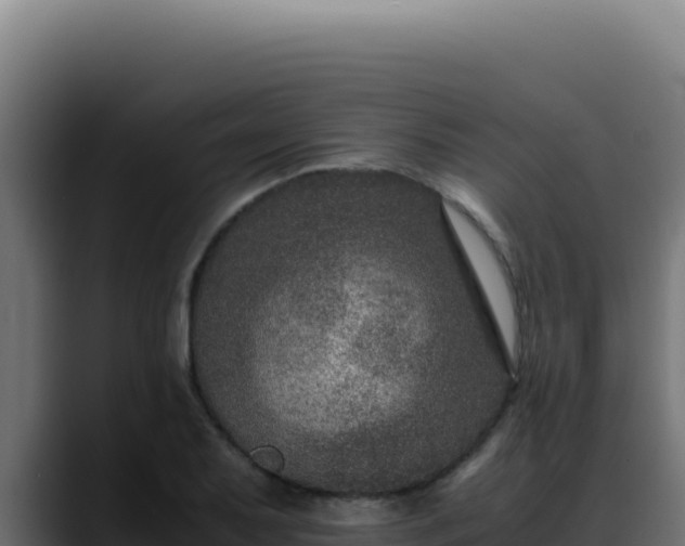 X0000088401079200705291424