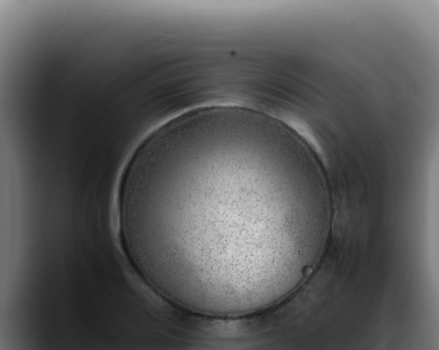 X0000088401080200705291424