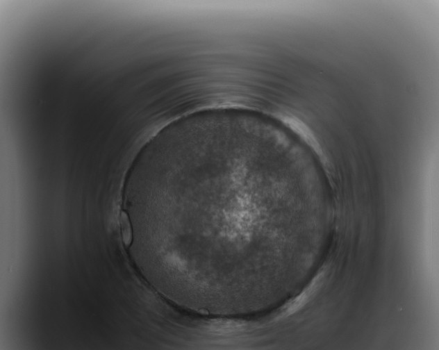 X0000088401081200705291424