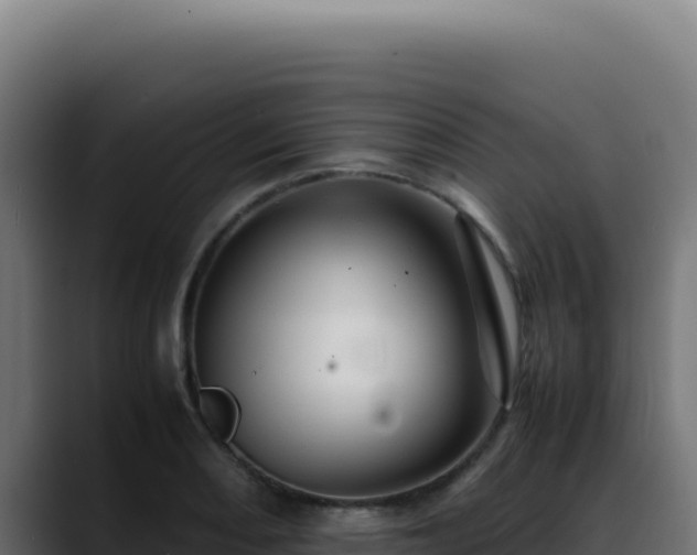 X0000088401082200705291424