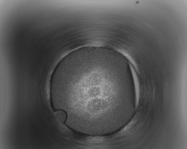 X0000088401083200705291424