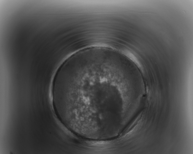 X0000088401084200705291424