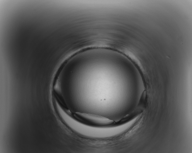 X0000088401085200705291424