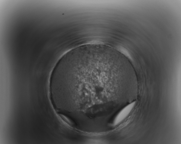 X0000088401087200705291424