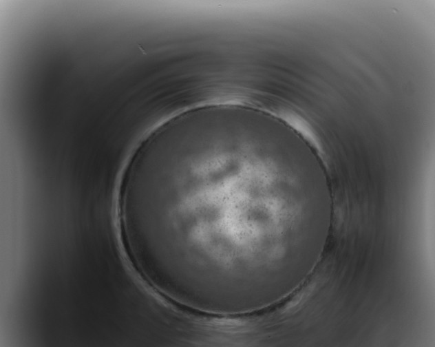 X0000088401088200705291424