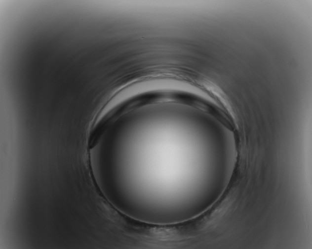 X0000088401089200705291424