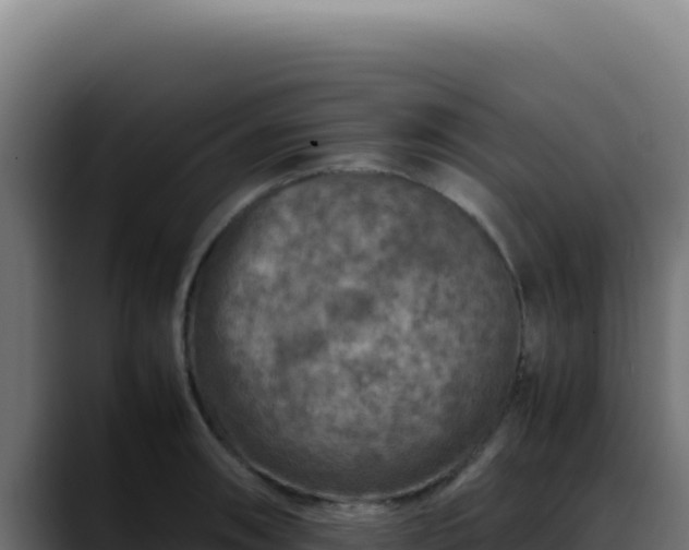 X0000088401090200705291424