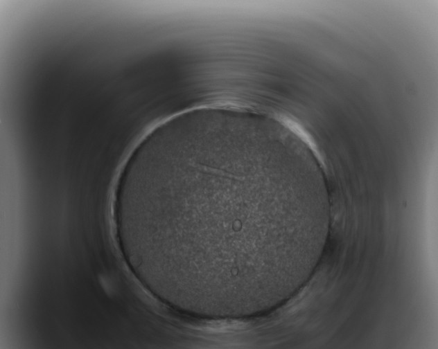 X0000088401091200705291424