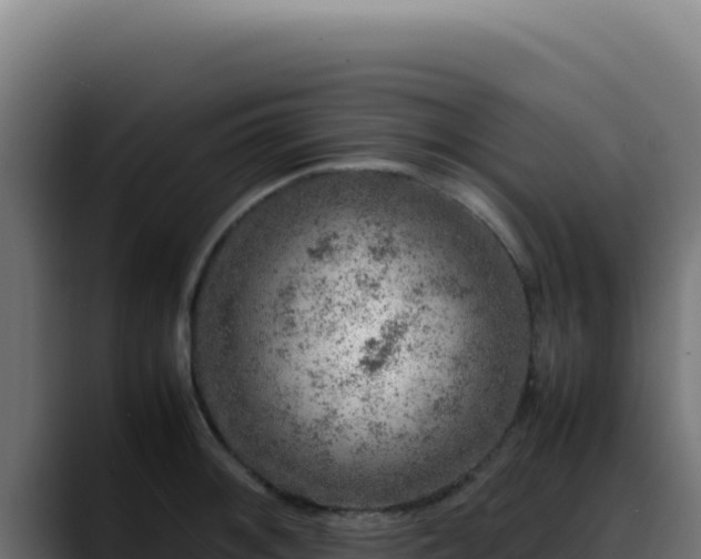 X0000088401092200705291424