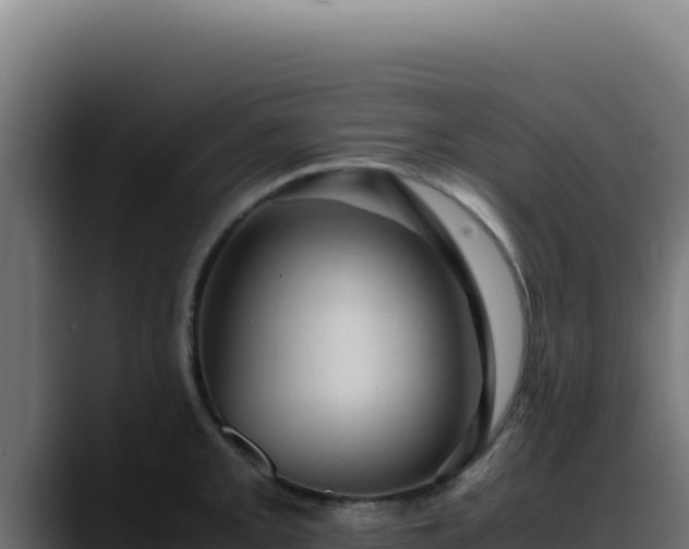 X0000088401093200705291424