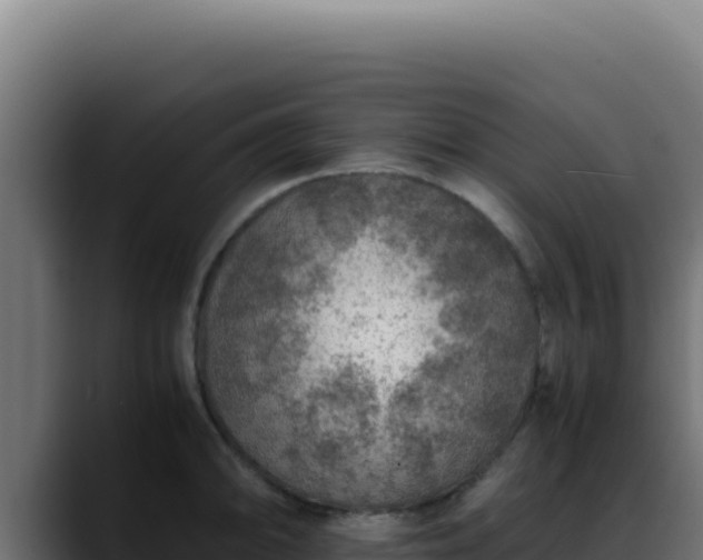 X0000088401094200705291424