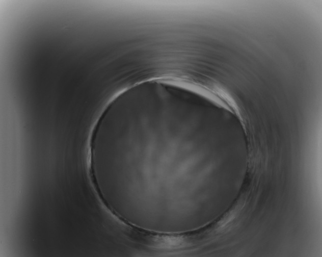 X0000088401095200705291424