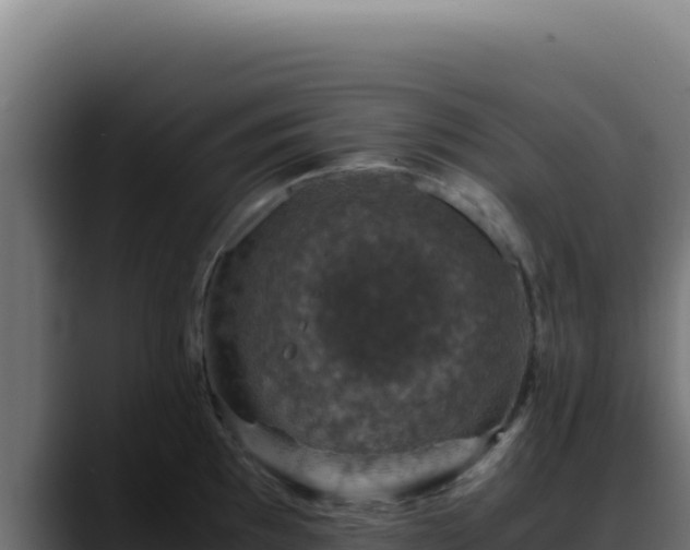 X0000088401097200705291424