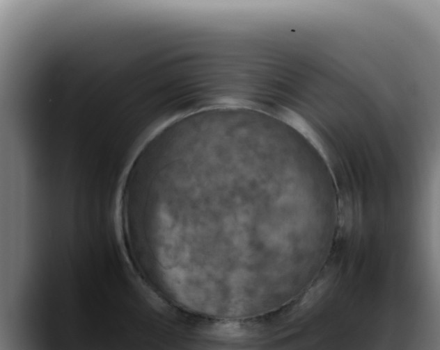 X0000088401098200705291424