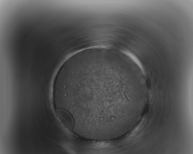 X0000088401099200705291424