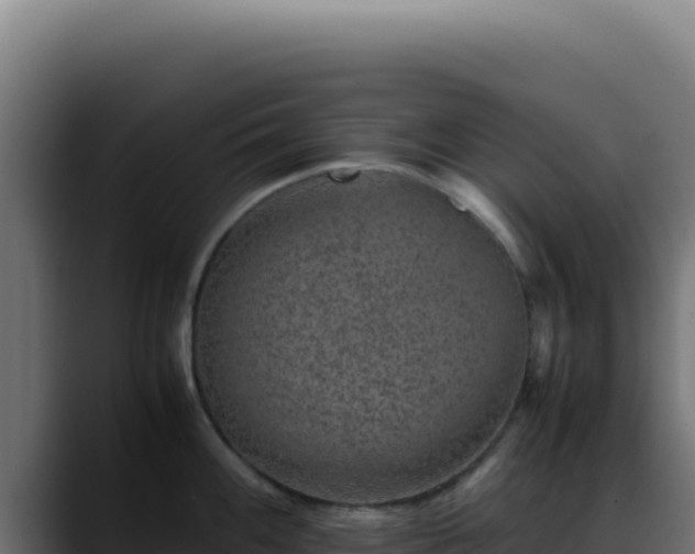 X0000088401100200705291424