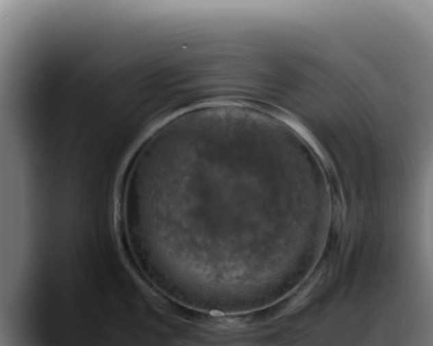 X0000088401101200705291424