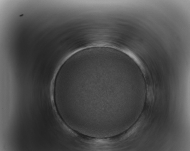 X0000088401102200705291424