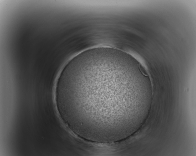 X0000088401104200705291424