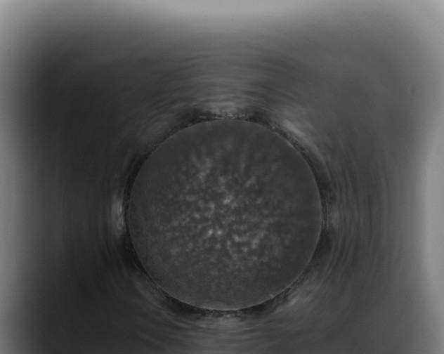 X0000088401106200705291423