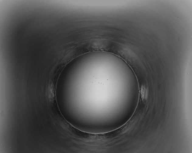 X0000088401107200705291423