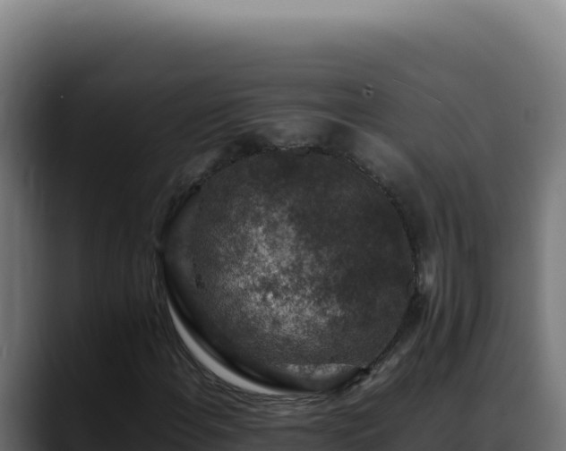 X0000088401108200705291423