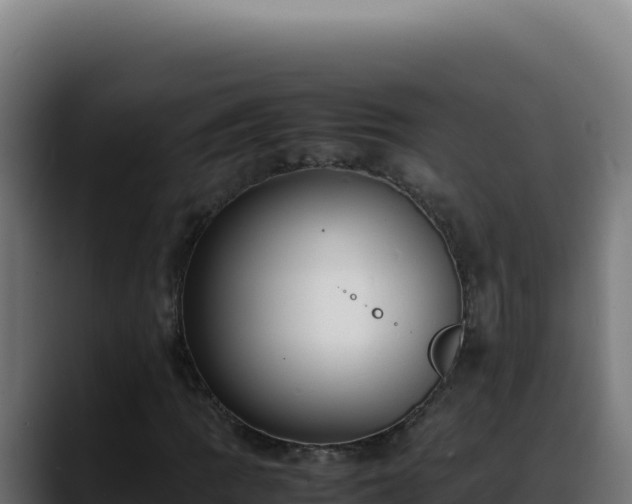 X0000088401109200705291423