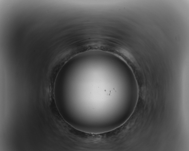 X0000088401111200705291423