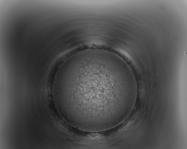 X0000088401112200705291423