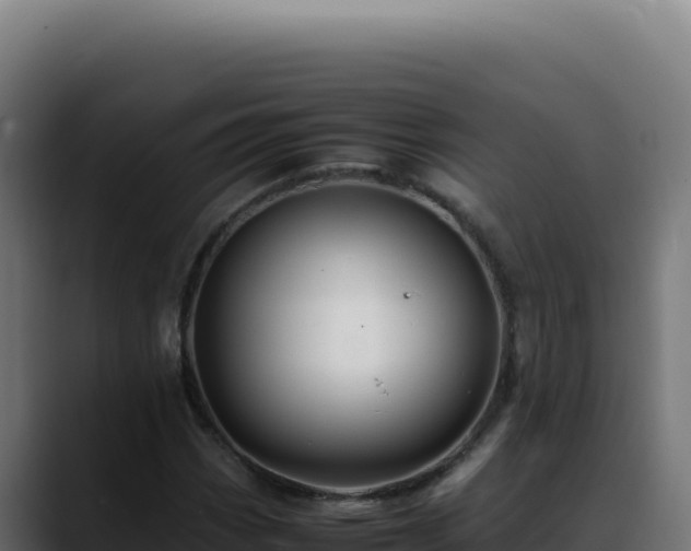 X0000088401113200705291423