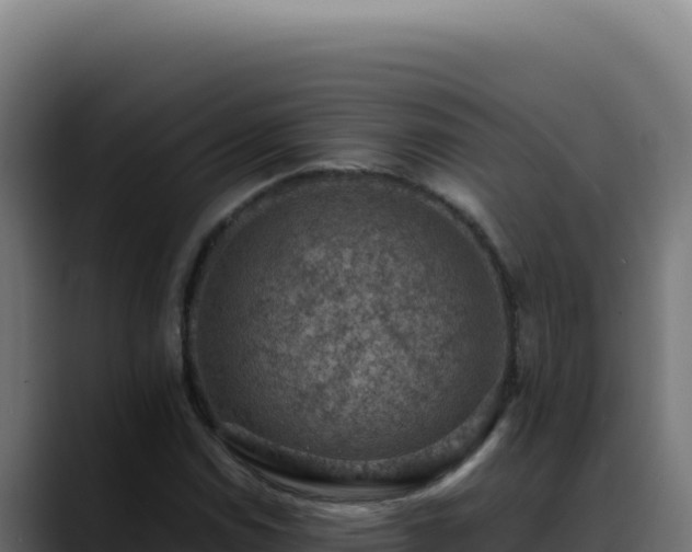 X0000088401114200705291423