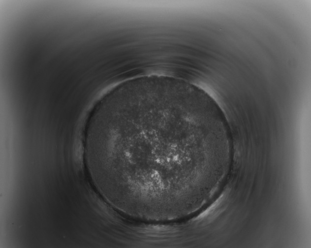 X0000088401115200705291423