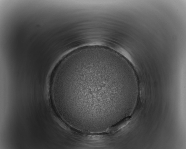 X0000088401116200705291423