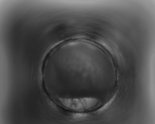 X0000088401117200705291423