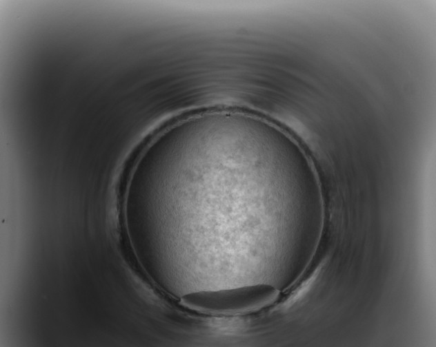 X0000088401118200705291423