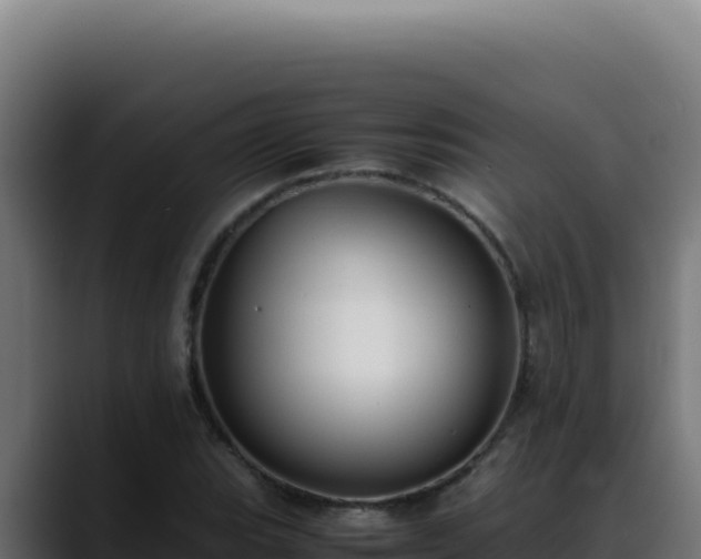 X0000088401119200705291423