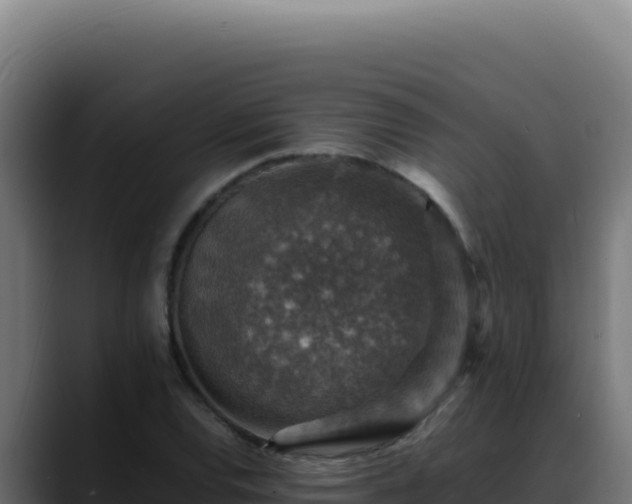 X0000088401120200705291423