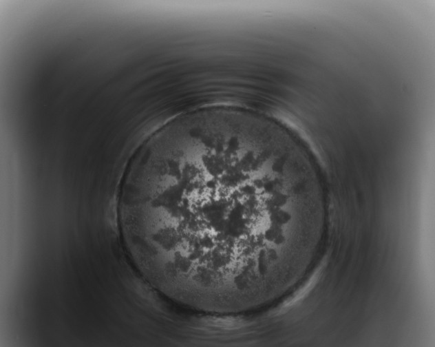 X0000088401121200705291423