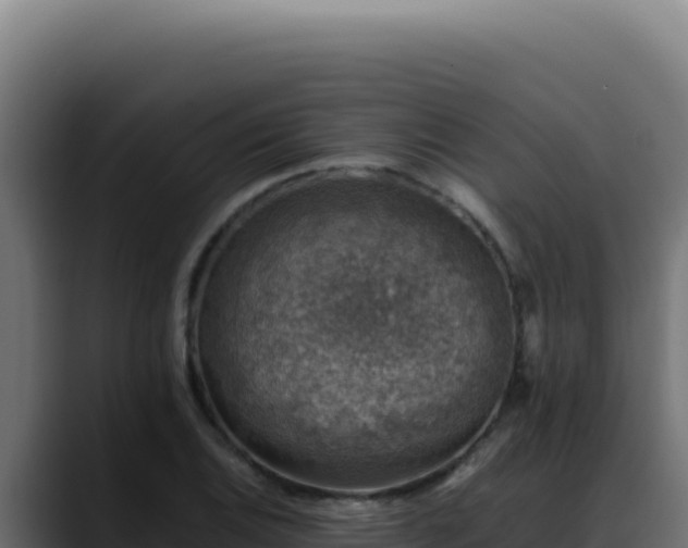 X0000088401124200705291423