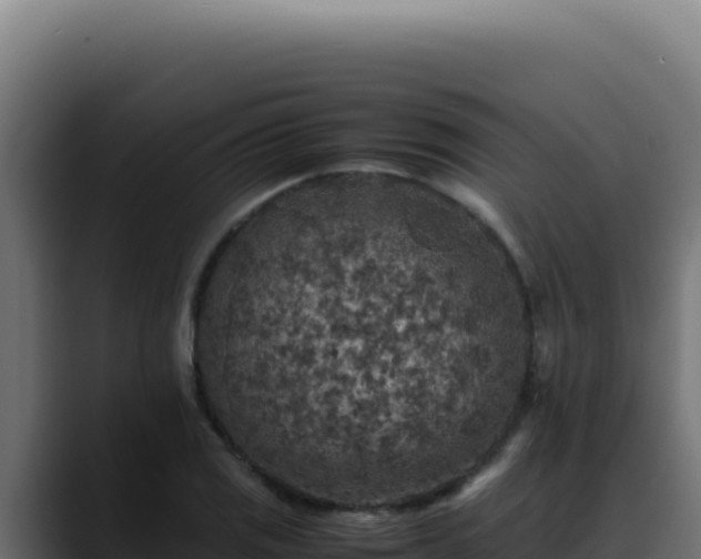 X0000088401125200705291423